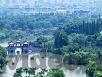无需播放器的成人免费视频-与网络伦理，理性探讨无需播放器的成人免费视频现象